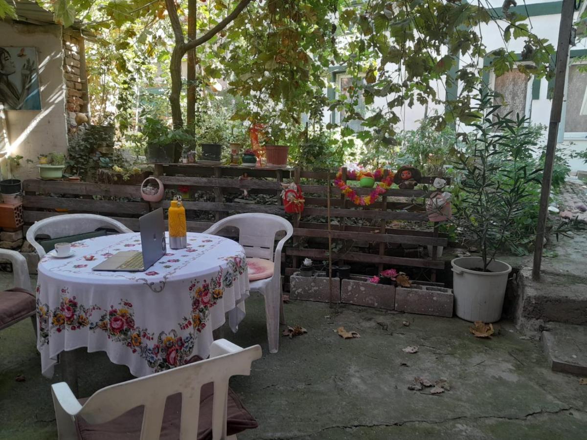 Adem'S Cozy Terrace Retreat Bed & Breakfast Üsküp Dış mekan fotoğraf