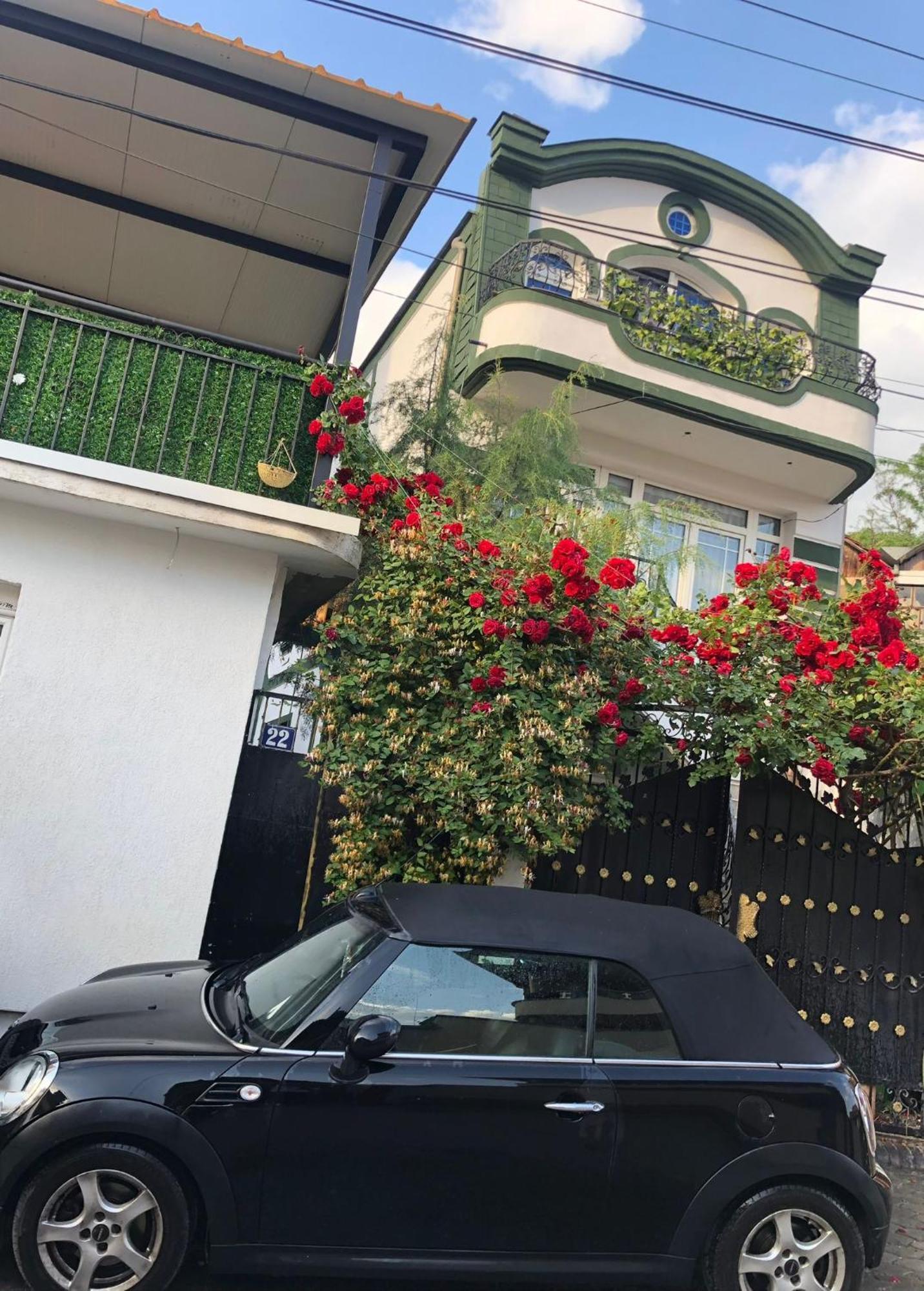 Adem'S Cozy Terrace Retreat Bed & Breakfast Üsküp Dış mekan fotoğraf