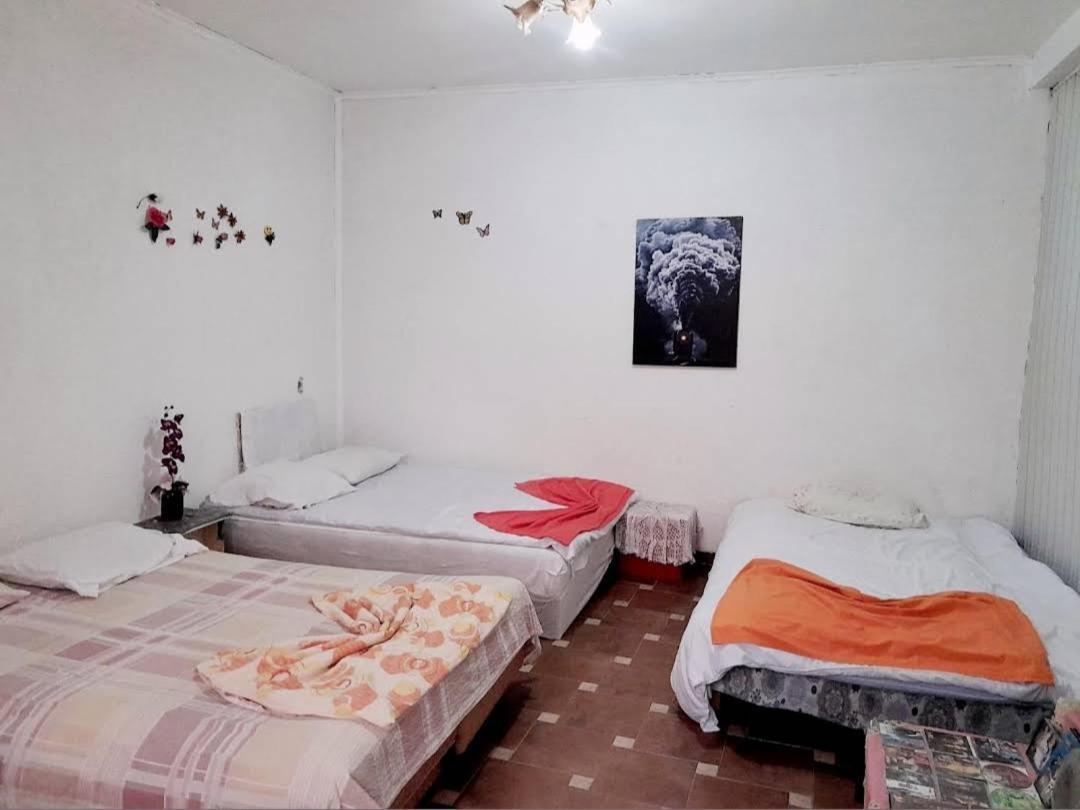 Adem'S Cozy Terrace Retreat Bed & Breakfast Üsküp Dış mekan fotoğraf